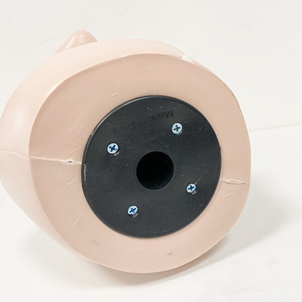 product-fancy-2344d1f2-2fe3-44e6-9d42-e0935aebc9ff Professional Mannequin Head - Ideal for Hairstyling, Wig, Hat, Scarf, Necklace, Eyewear & Jewelry Display | Perfect for Beauty Enthusiasts & Artists, Hair Wig