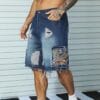 Men's Chic Embroidery Design Cotton Blend Ripped Loose Fit Jorts, Street Style Summer Bottoms for Men