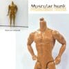 product-fancy-d7e1148b-d19f-4766-b3e1-cce1d50fac3d 1pc Human Body Model Doll Accessory - Muscular Man. He Has a Clear And Full Chest Muscle Outline, Showcasing The Beauty of Male Strength. The Plain Body Is 31Cm Tall And Available in Three Colors. It Can Be Used As a Figure, Doll, Or Decorative Item; a Birthday Gift Or Present, Doll Shoes