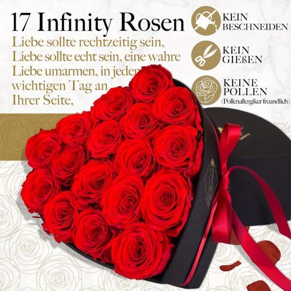 17 roses rouges artificielles préservées Infinity Roses dans une boîte en similicuir noir en forme de cœur avec ruban - Composition florale éternelle pour femme, décoration d'intérieur sans entretien, cadeaux de Saint-Valentin, d'anniversaire, de fête des mères et de Noël, accessoires de b